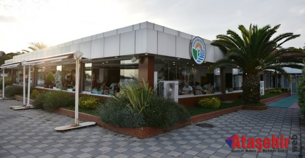 Tuzla’nın lezzet durağı Palmiye Balık Restaurant