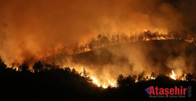 Türk Telekom’dan Hatay’a 39 bin 276 fidan