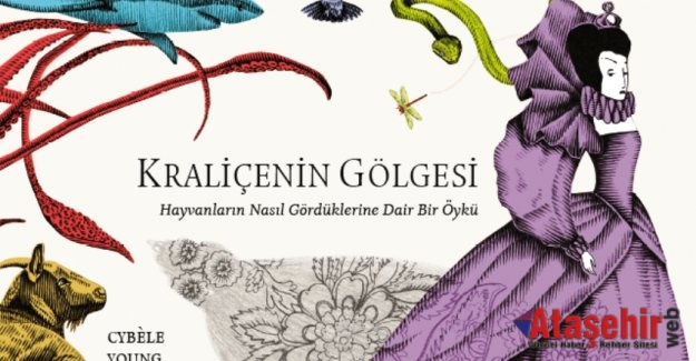 KRALİÇENİN GÖLGESİ