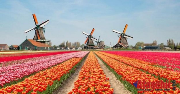 HOLLANDA’YA YERLEŞME BAŞVURULARI ARTIYOR