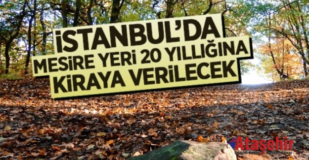 İstanbul'da mesire yeri 20 yıllığına kiraya verilecek