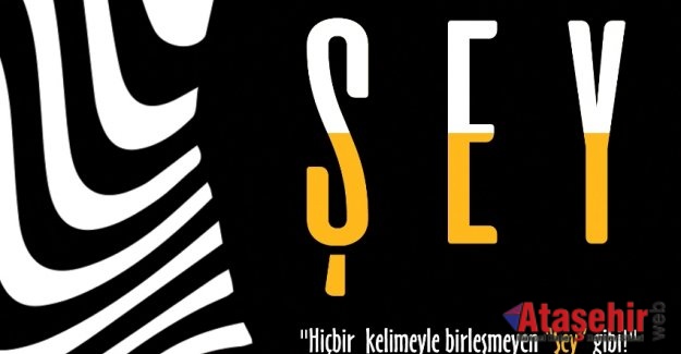 MEHTAP ŞAFAK / ŞEY – ALINTILAR