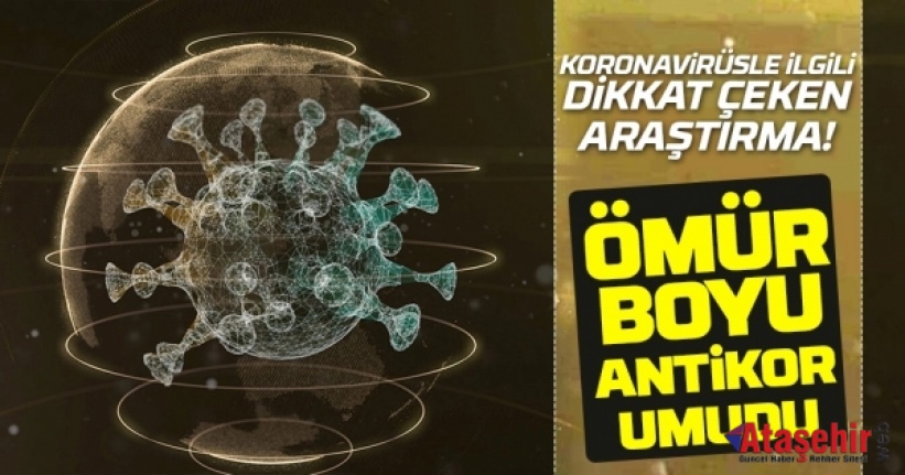 Koronaya karşı ömür boyu antikor