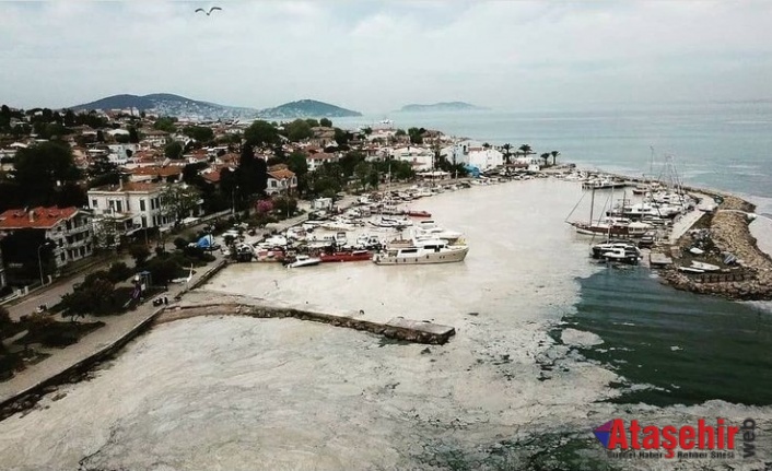 Marmara Denizi’nde deniz salyası kabusu