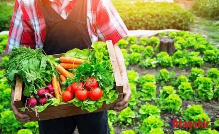 Organik Ürün Pazarı Pandemide Yüzde 12 Büyüdü