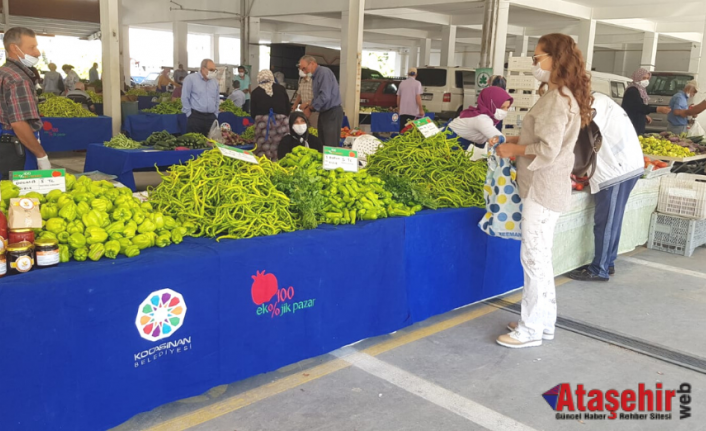 Kayseri’de organik tarım bereketi artıyor
