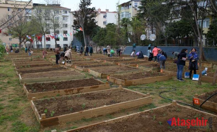 KADIKÖY’DE BOSTANLAR ÇOĞALIYOR! ŞİMDİ ACIBADEM VE GÖZTEPE’DE