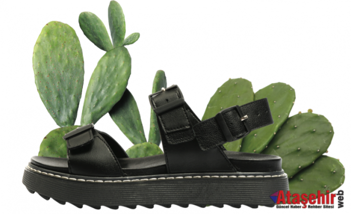 Kaktüs ve geri dönüştürülmüş malzemelerden ayakkabı üretildi