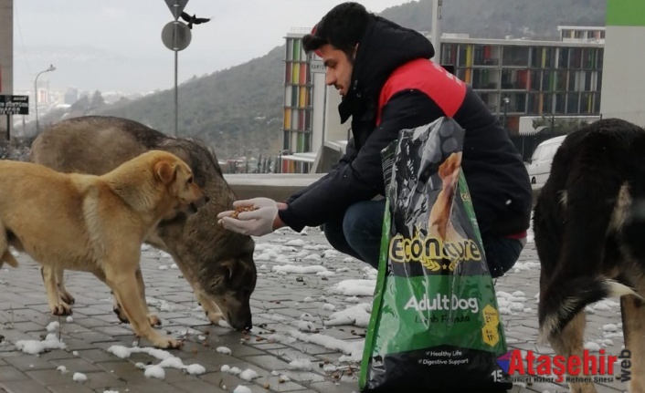 Maltepe Belediyesi’nden 5 ton mama