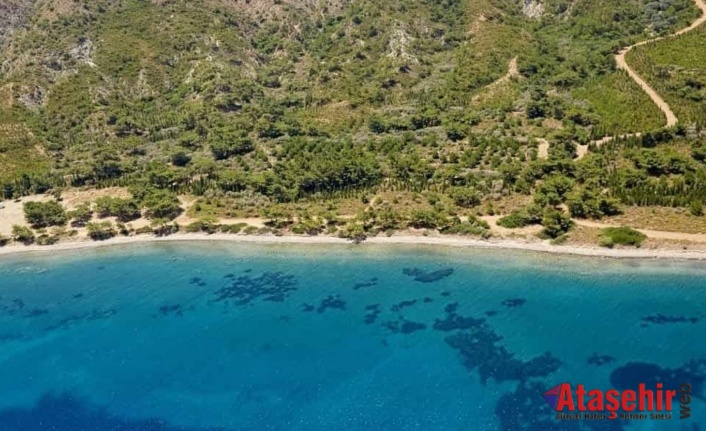 Datça Kızlan Gereme Koyu