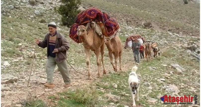 YÖRÜKLER VE VERGİ
