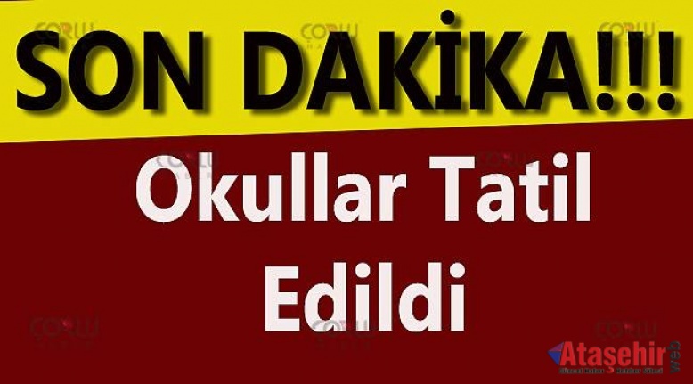 İSTANBUL'DA  21 ŞUBAT CUMA GÜNÜ OKULLAR TATİL EDİLDİ
