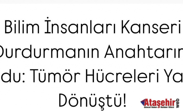 Bilim İnsanları Kanseri Durdurmanın Anahtarını Buldu