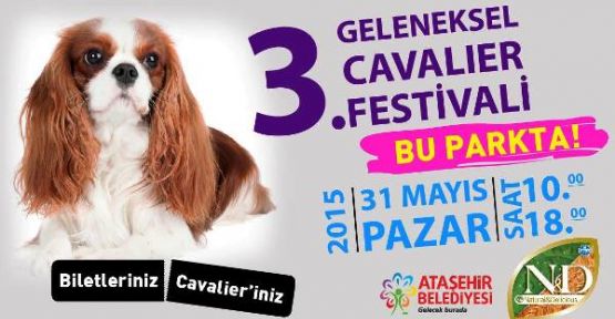 3. Geleneksel Cavalier Festivali