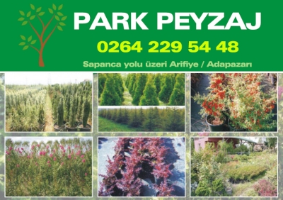 PARK PEYZAJ Sakarya Fidan Satış yeri Arifiye fidancılık hizmetleri