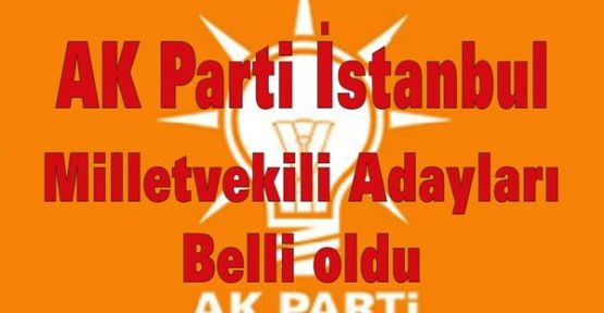 AK Parti İstanbul Milletvekili Adayları