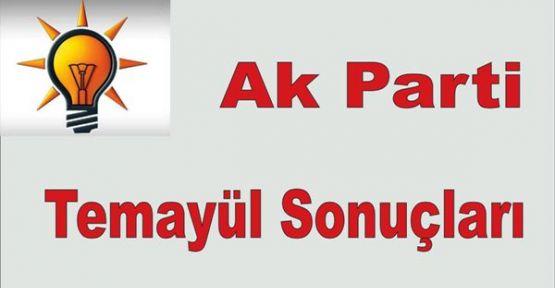 Ak Parti Temayül Sonuçları