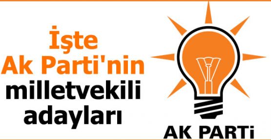 AK Parti'nin milletvekili aday listesi