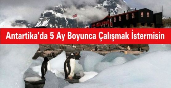 Antartika’da 5 Ay Boyunca Çalışmak İstermisin