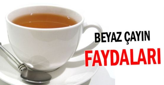 Beyaz çayın faydaları