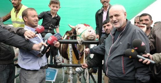 Beykoz Kurbankent’in Şampiyonu ‘Civanım’