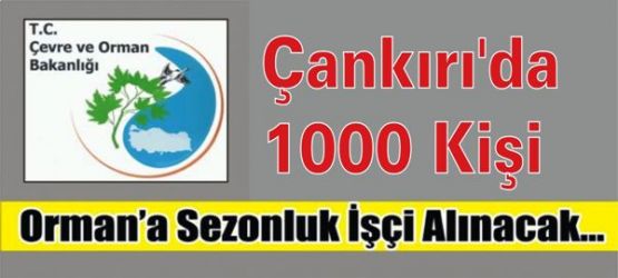Çankırı'da 1000 Kişi İşe Alınacak