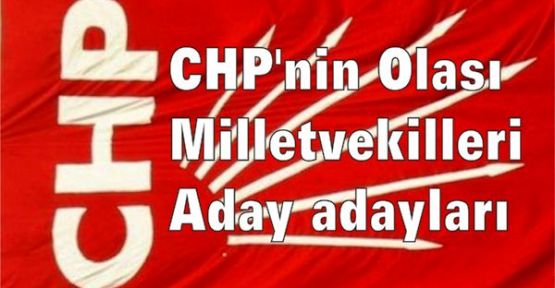 CHP'nin “Olası“ milletvekilleri aday adayları