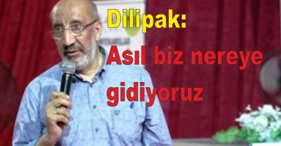 Dilipak: Asıl biz nereye gidiyoruz?