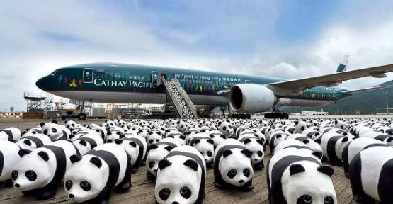 Hong Kong havaalanına 1600 panda indi