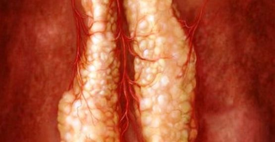 İlk kez 'tümüyle yeni' bir organ yetiştirildi