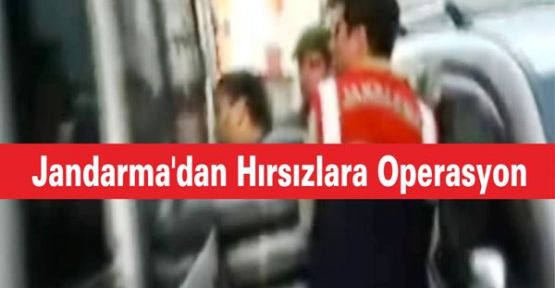 Jandarma'dan Hırsızlara Operasyon