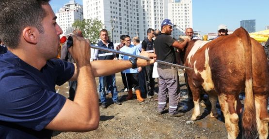 Maltep'de Kurban timi göreve hazır