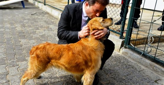 Maltepe Belediyesi “sokaktaki dostlarına” sahip çıkıyor