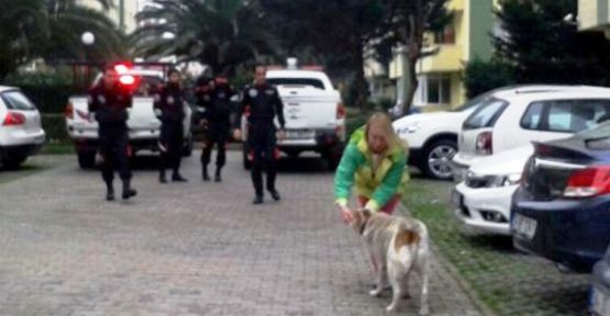 Maltepe’de “Fındık” operasyonu