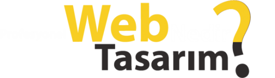 Profesyonel Web Tasarım