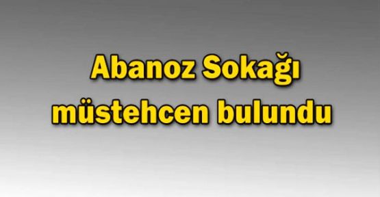 Şile'de Abanoz Sokağı'nın ismi müstehcen diye değiştirildi