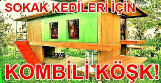 Sokak kedilerine kombili köşk 