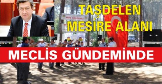 TAŞDELEN MESİRE ALANI MECLİS GÜNDEMİNDE