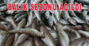 Av yasağı bitti, balık sezonu açıldı