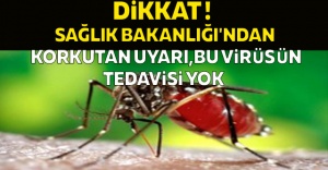 Dünya'da Zika virüsü alarmı, Zika virüsü nedir?