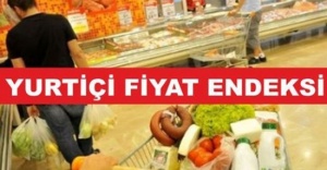 Yurt içi üretici fiyat endeksi aylık %0,55 arttı