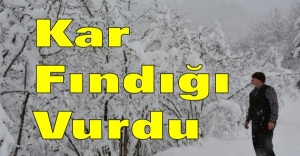 Kar Fındığı Vurdu