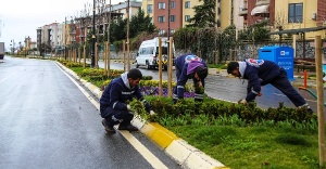 Maltepe'de Parklara bahar geldi