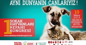 1.	Sokak Hayvanları Refahı Kongresi Ataşehir’de yapılacak