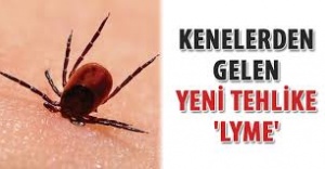 Kene Isırığı ile Bulaşan LYME