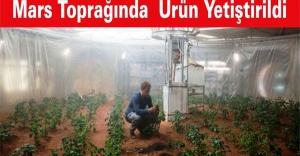 Mars toprağında yetişen ürünler sağlıklı