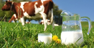 Süt ve Süt Ürünleri Üretimi, Nisan 2016
