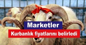 Marketler kurbanlık fiyatlarını belirledi