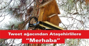 Tweet ağacından Ataşehirlilere “merhaba”