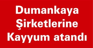 Dumankaya şirketlerine kayyum atandı